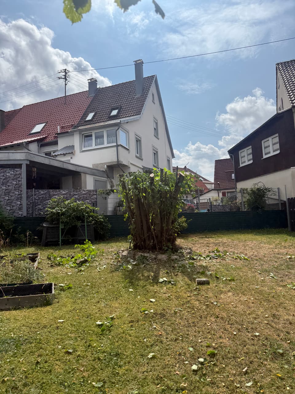 DI Baumpflege und Gartenbau
