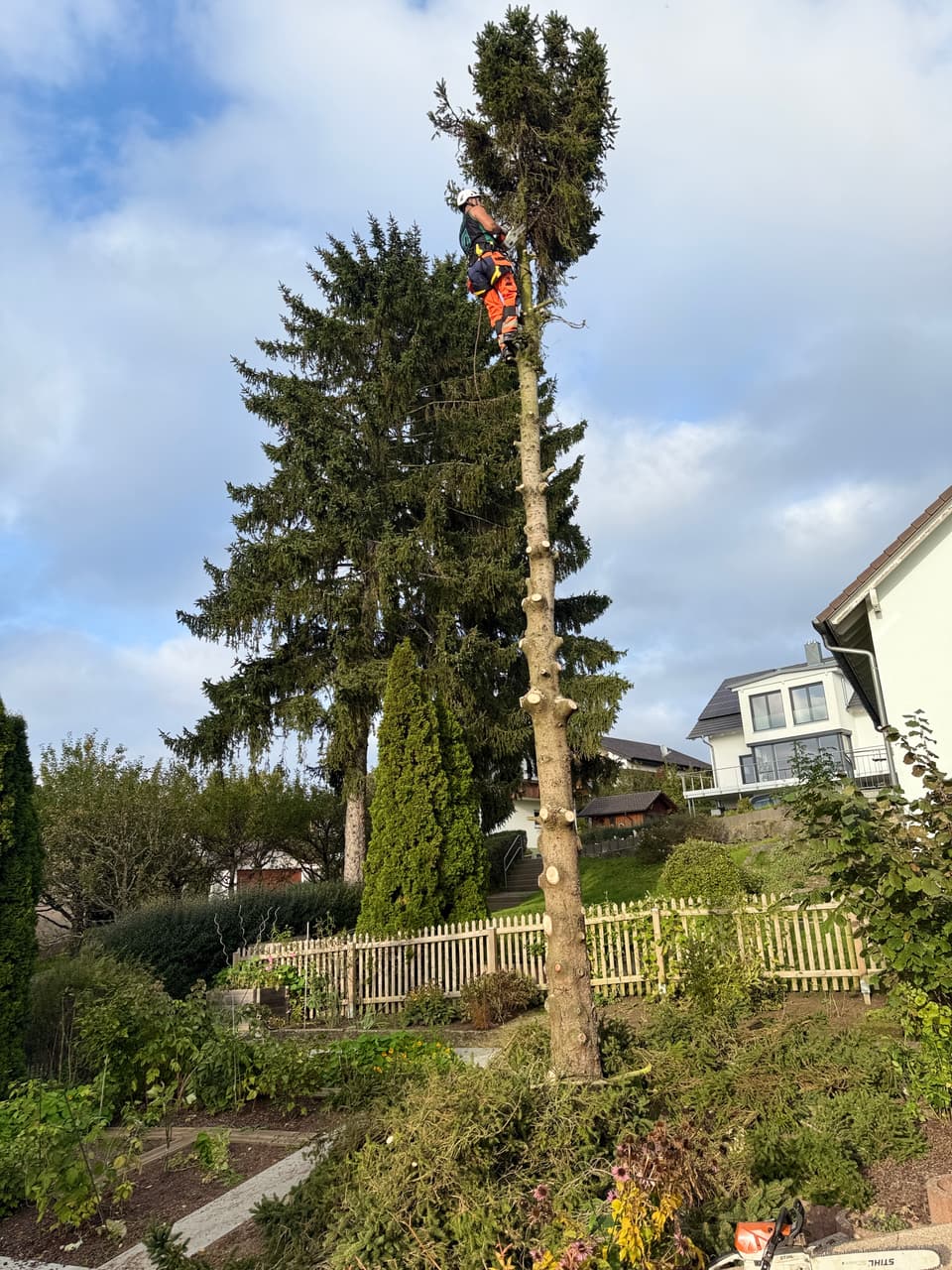DI Baumpflege und Gartenbau